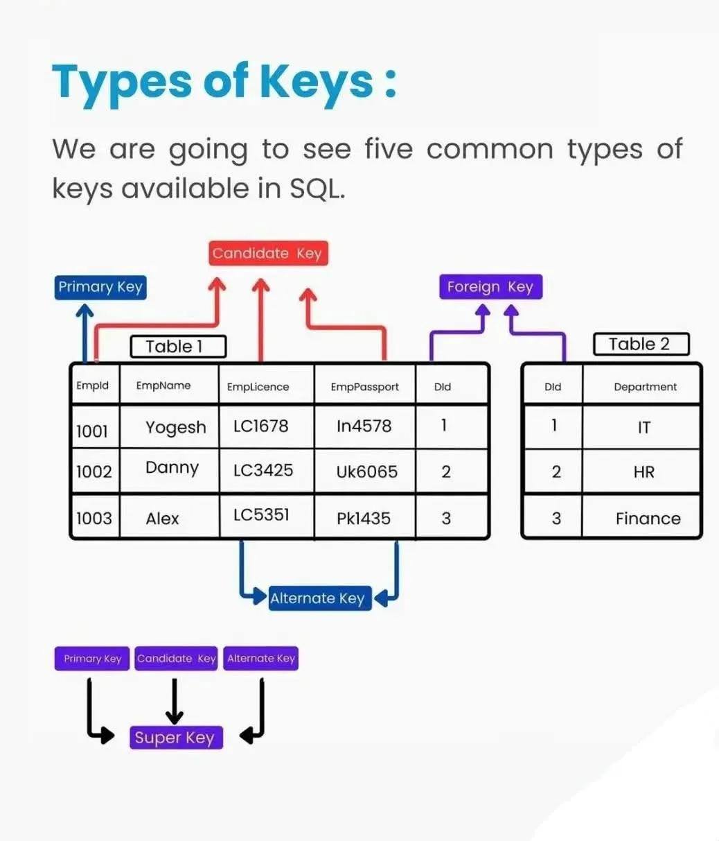 Computer Science... - Computer Science & Software Engineering