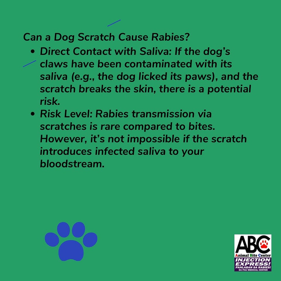 Dog Scratch Cause Rabies? 👇 WELCOME... - Animal Bite Center | Facebook