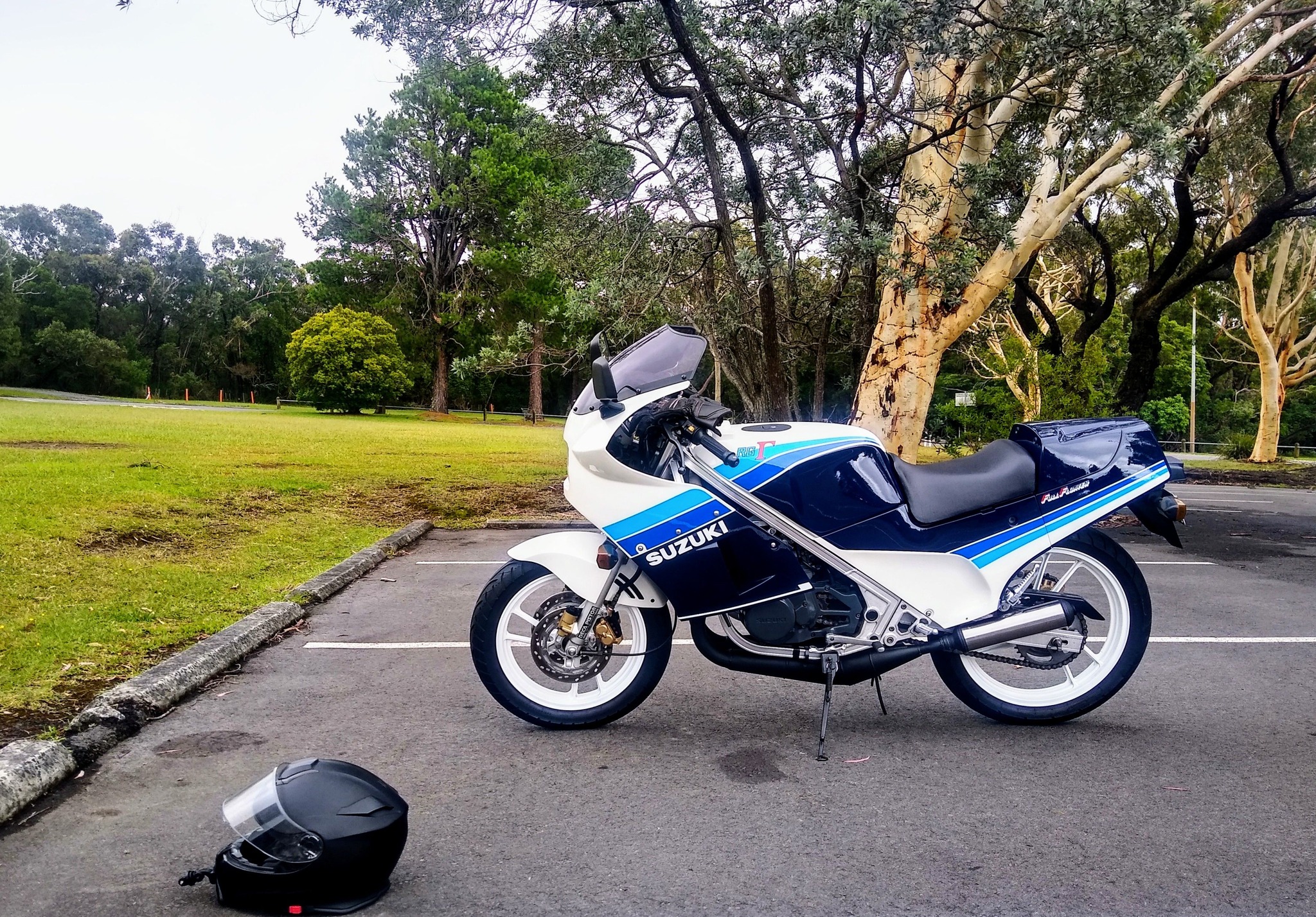 Suzuki RG250 Motorcycle Discussion