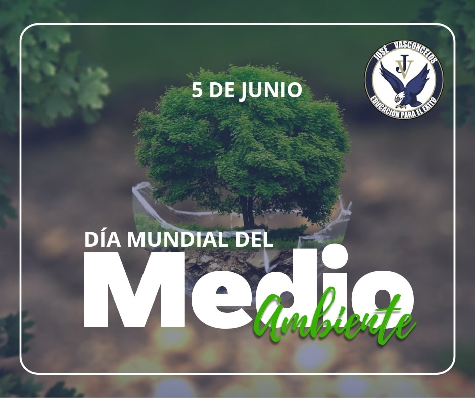 Centro - 🌱 5 de junio - Día Mundial del Medio Ambiente 🌍 Hoy es un ...