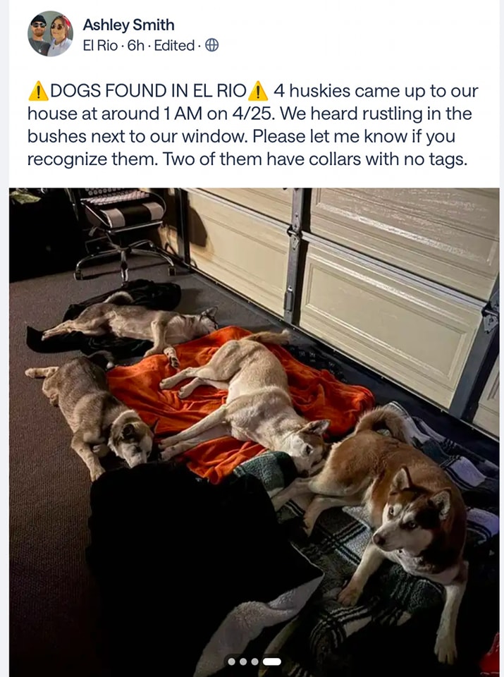 Oxnard - Update: owner found and will reunite later FOUND 4 Huskies 4/ ...