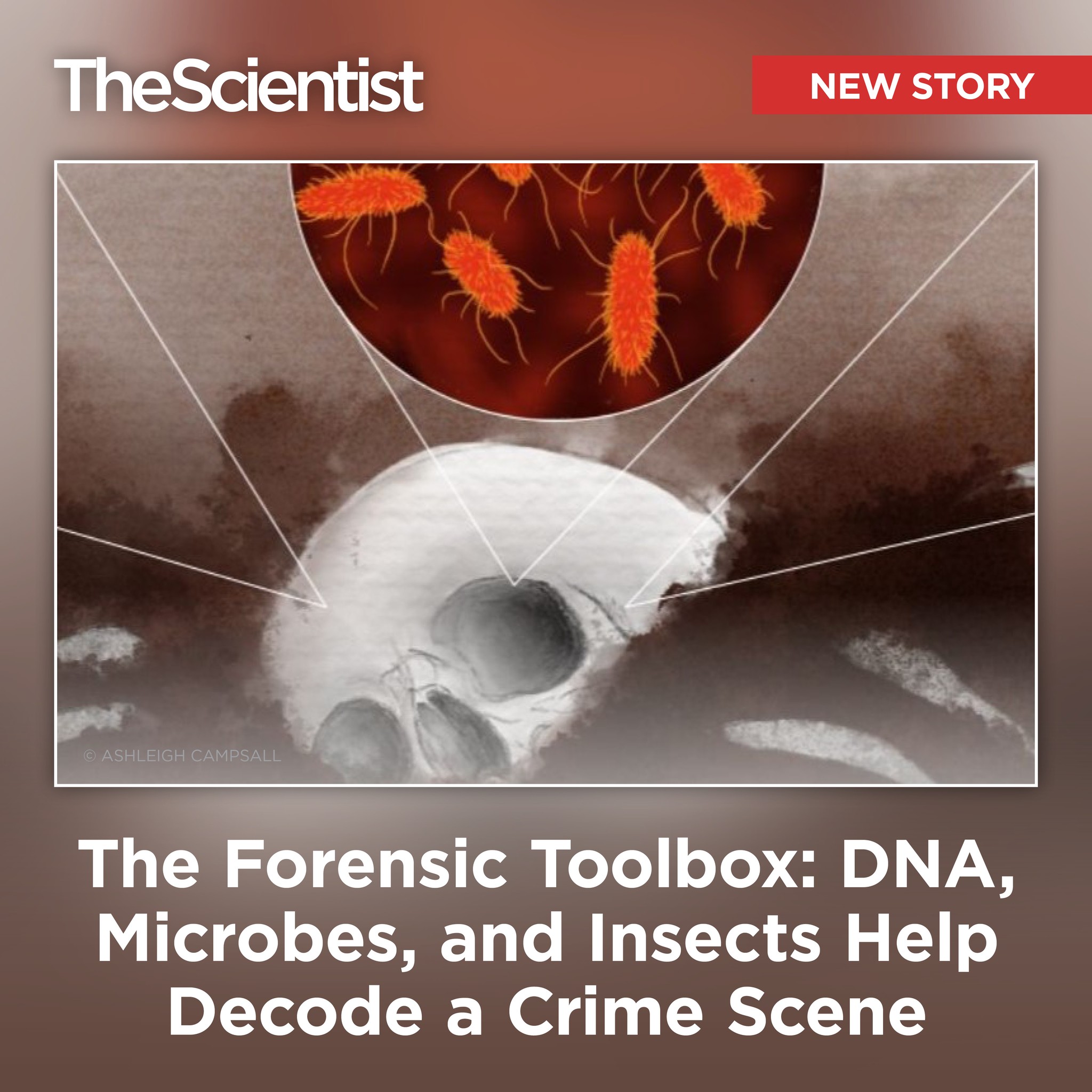 The Scientist - Step into the fascinating world of forensic science ...