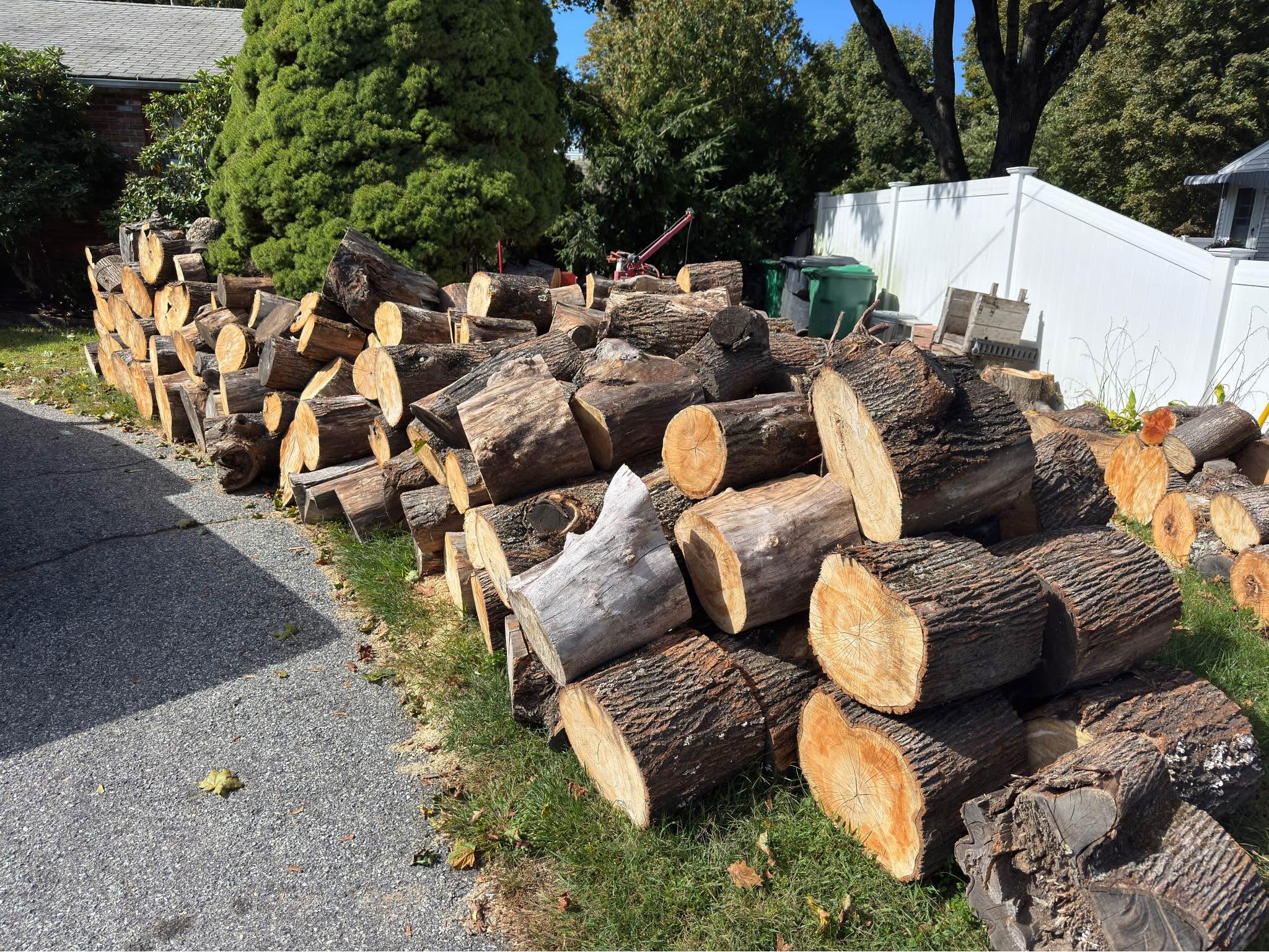 Firewood Logs (unsplit) - Miscellaneous - Warwick, Rhode Island ...
