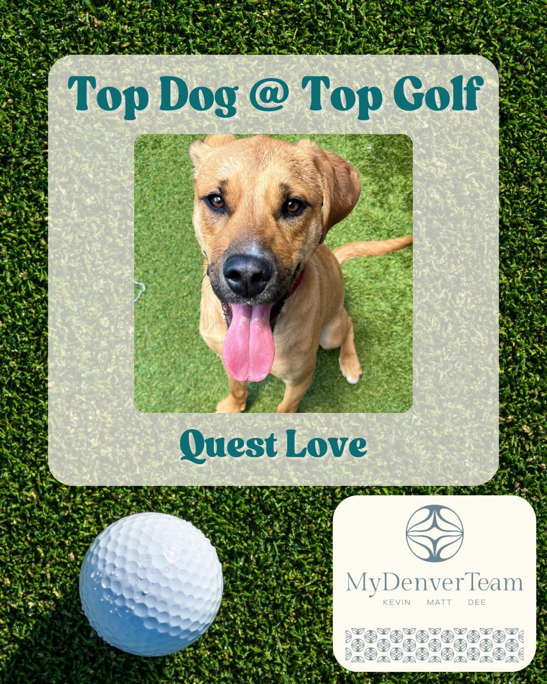 MaxFun... - MaxFund No-Kill Animal Shelter and Adoption Center