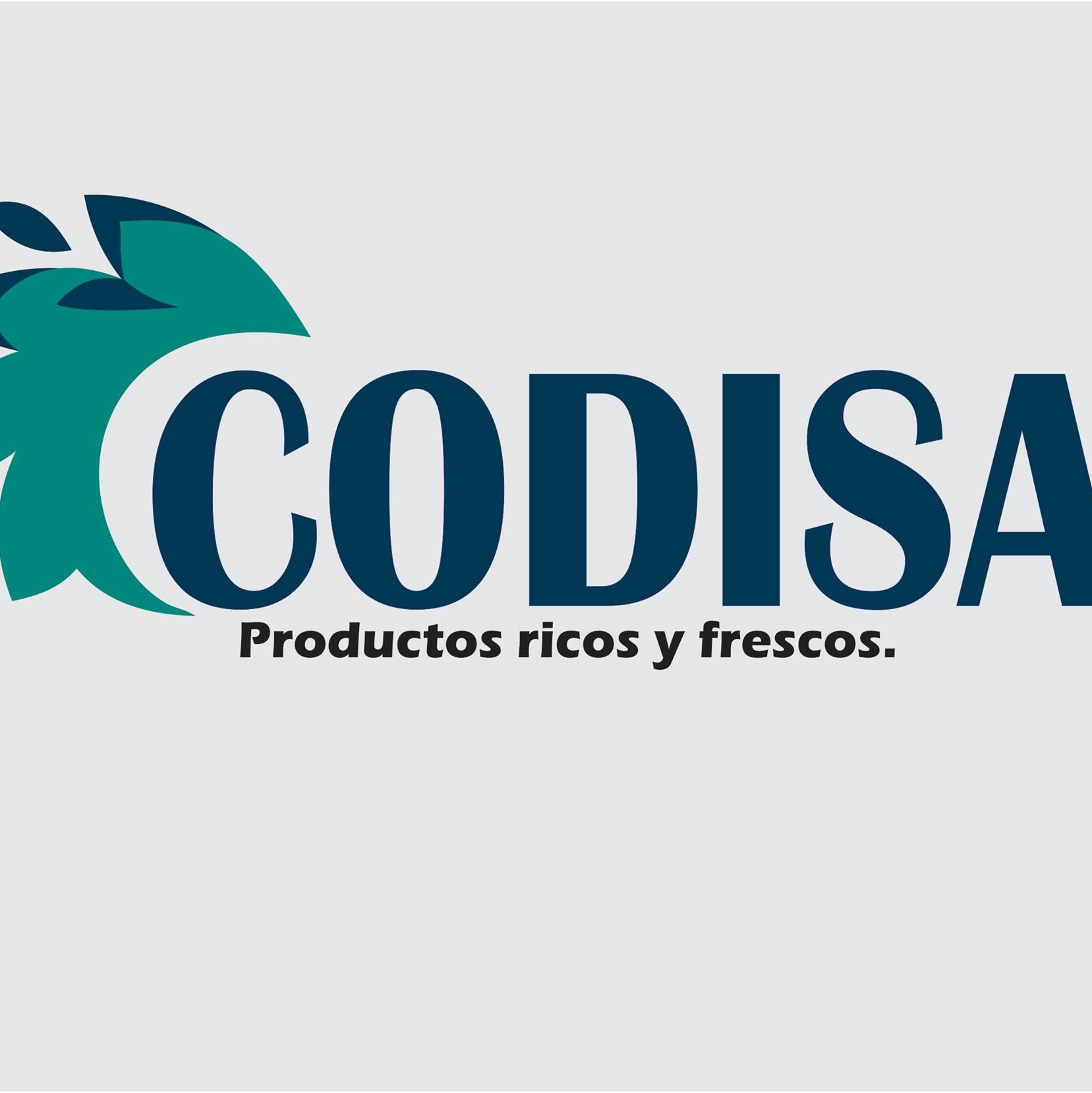 Codixa SAC - Sullana