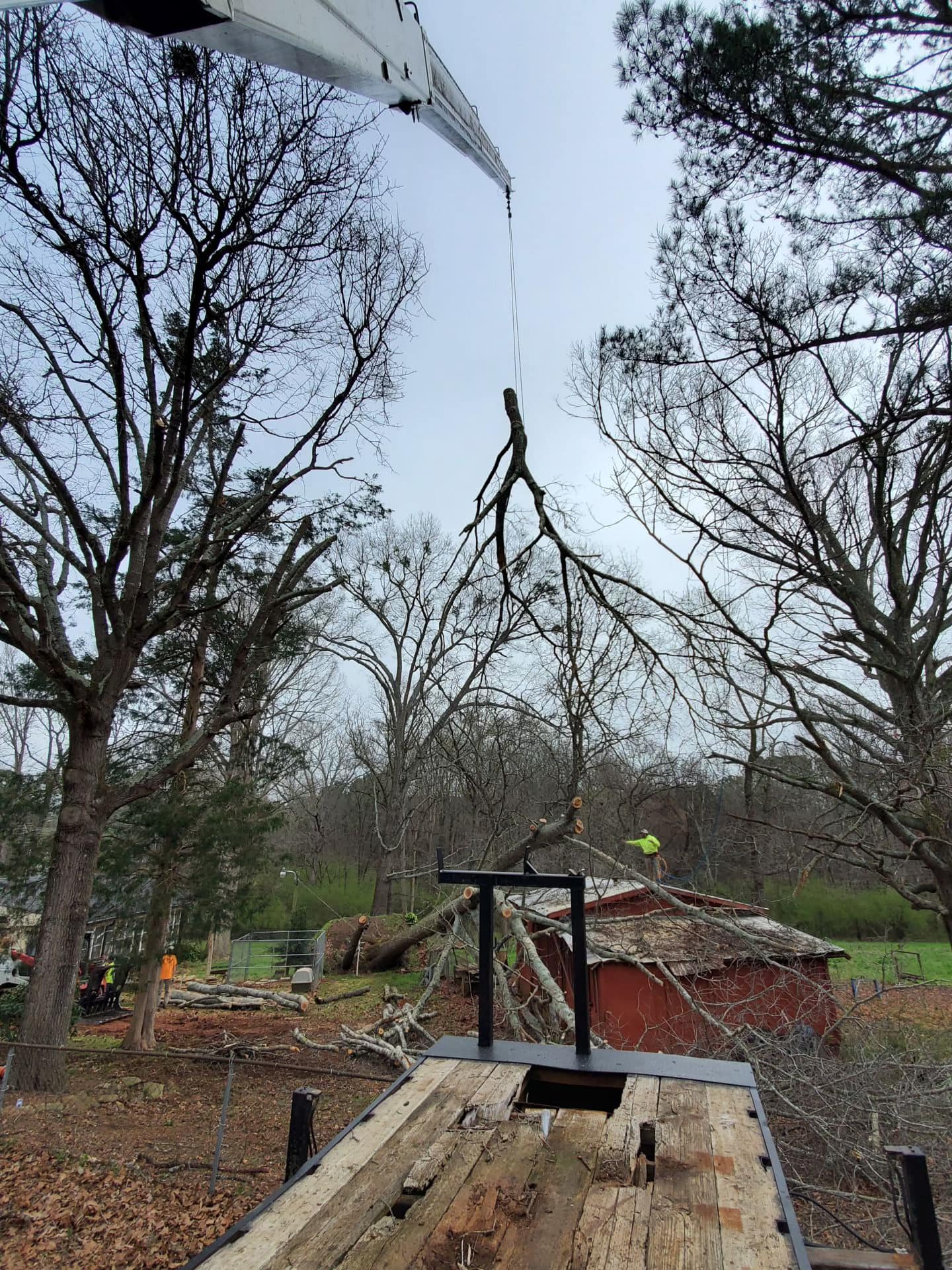 Superior Tree Service | Cornelia GA