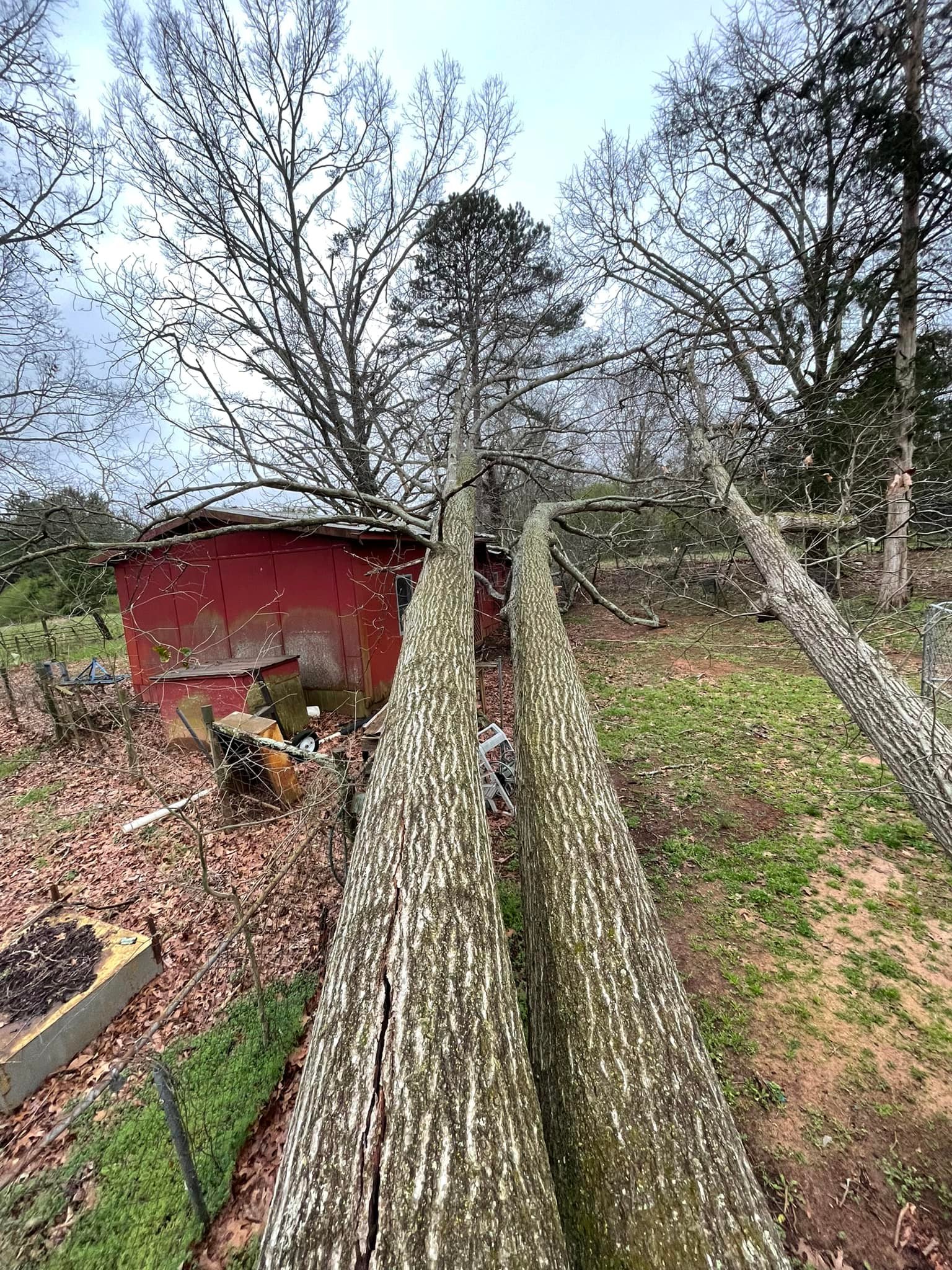 Superior Tree Service | Cornelia GA