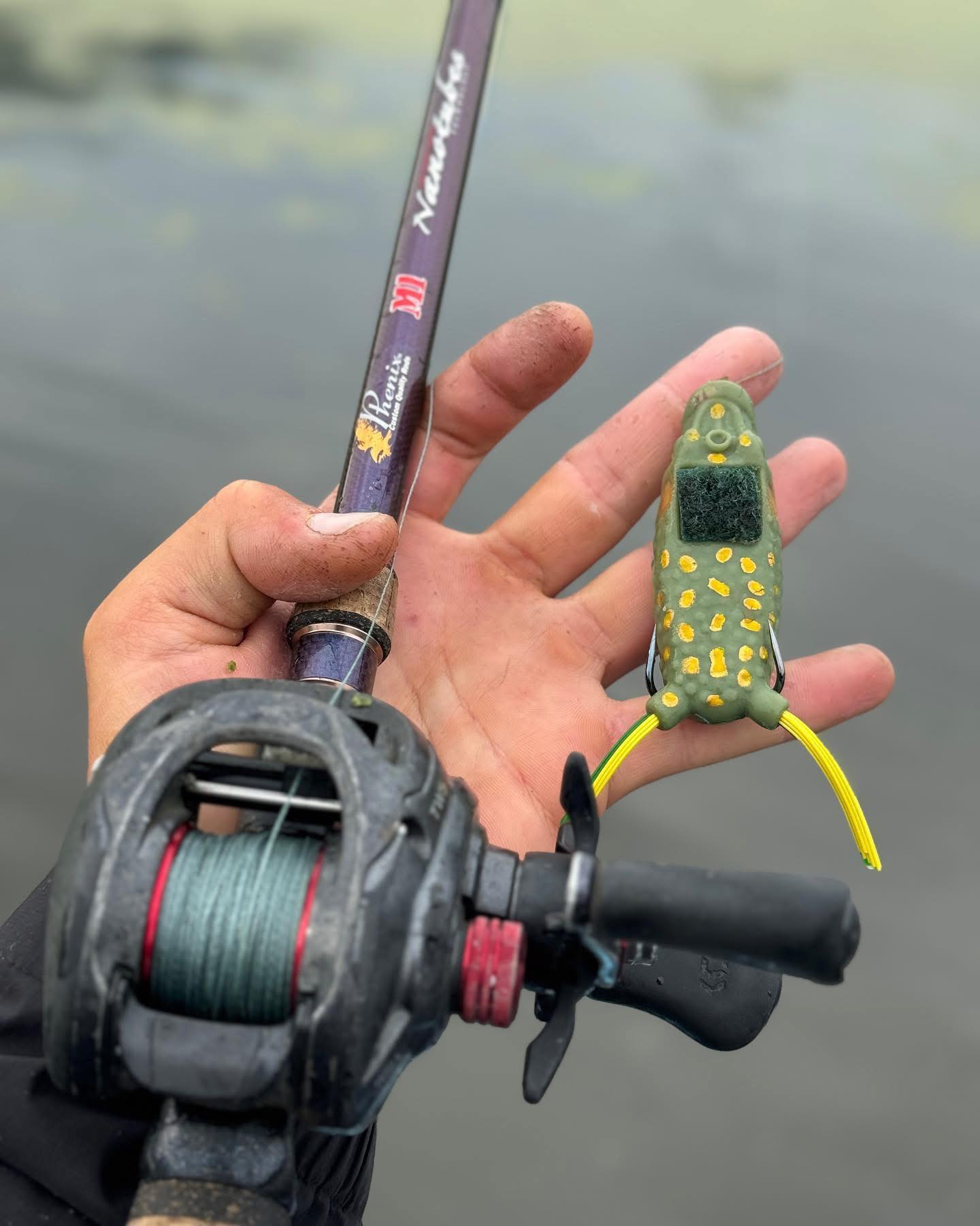 dobyns boom boom frog rod Stanford Poppin Stanford Baits teamed up with Elite Series pro Frog Factory Baby Boom Frog