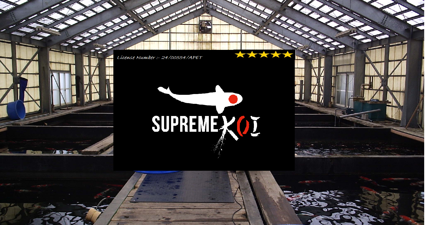 Visual idea from this collection