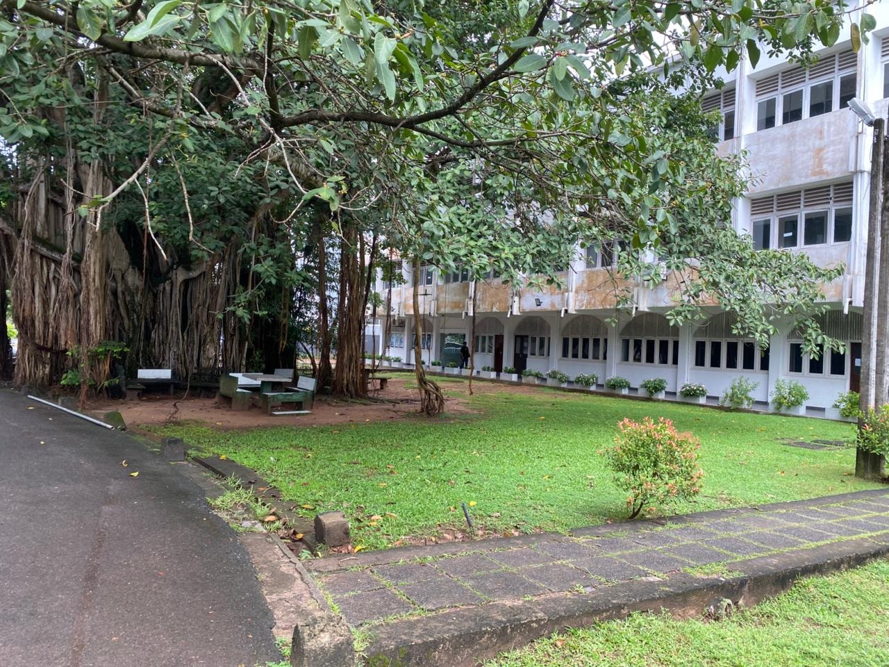 University of Colombo, Faculty of Science. 83 - 93 Groups | Colombo