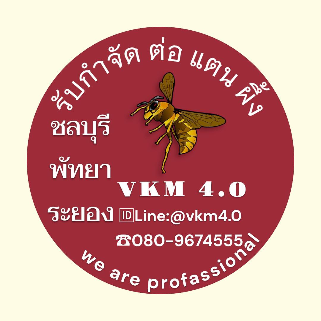 รับกำจัดรังต่อ แตน ผึ้ง ชลบุรี/ระยอง/พัทยา โทร.080-2982102/080-9674555 ...
