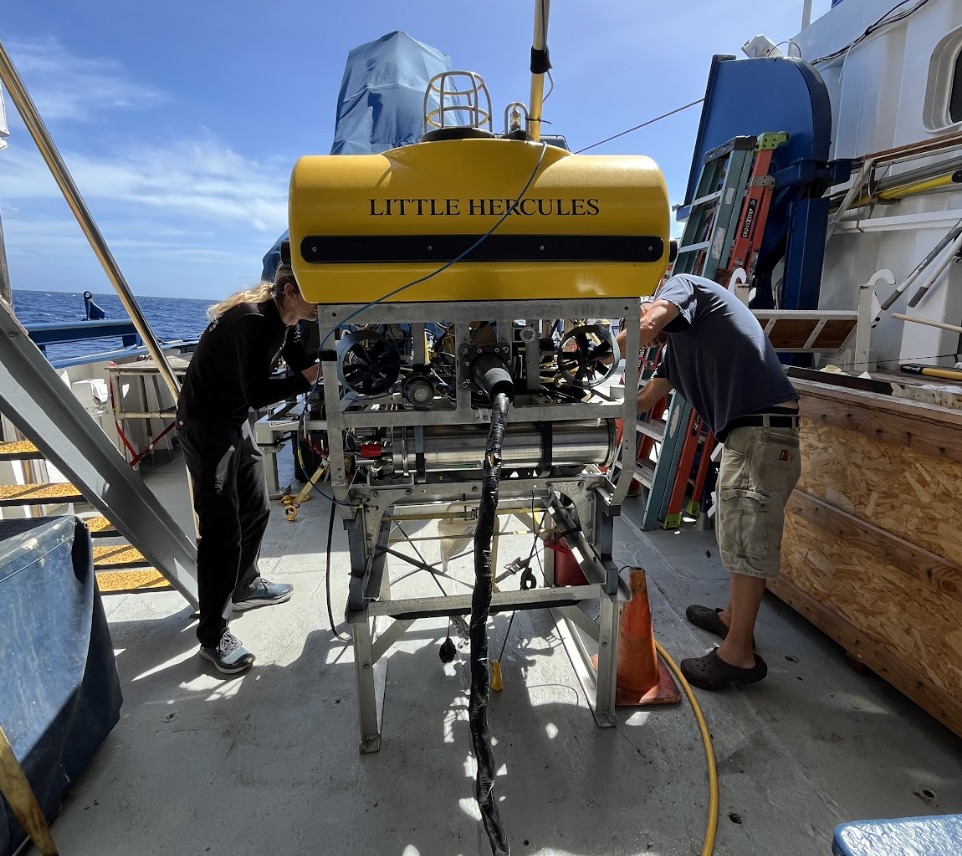 Nautilus - Making its first appearance of the 2025 season, the NA176 ...