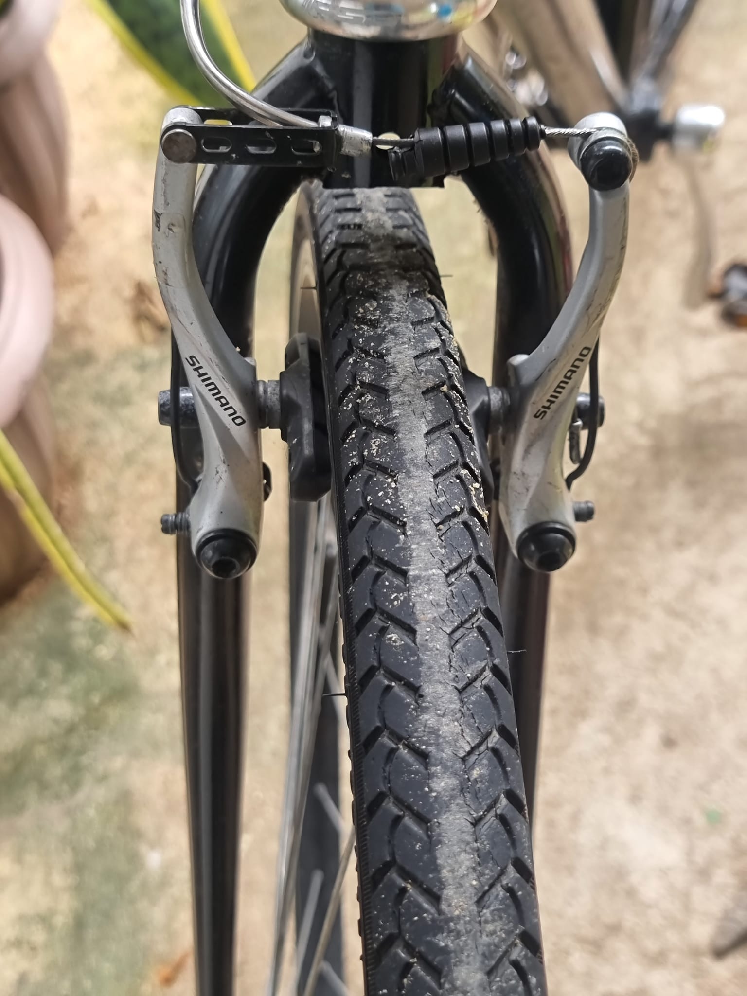 Weekend Bikes by Asahi Size 51 cm Aluminum frame, steel fork 7