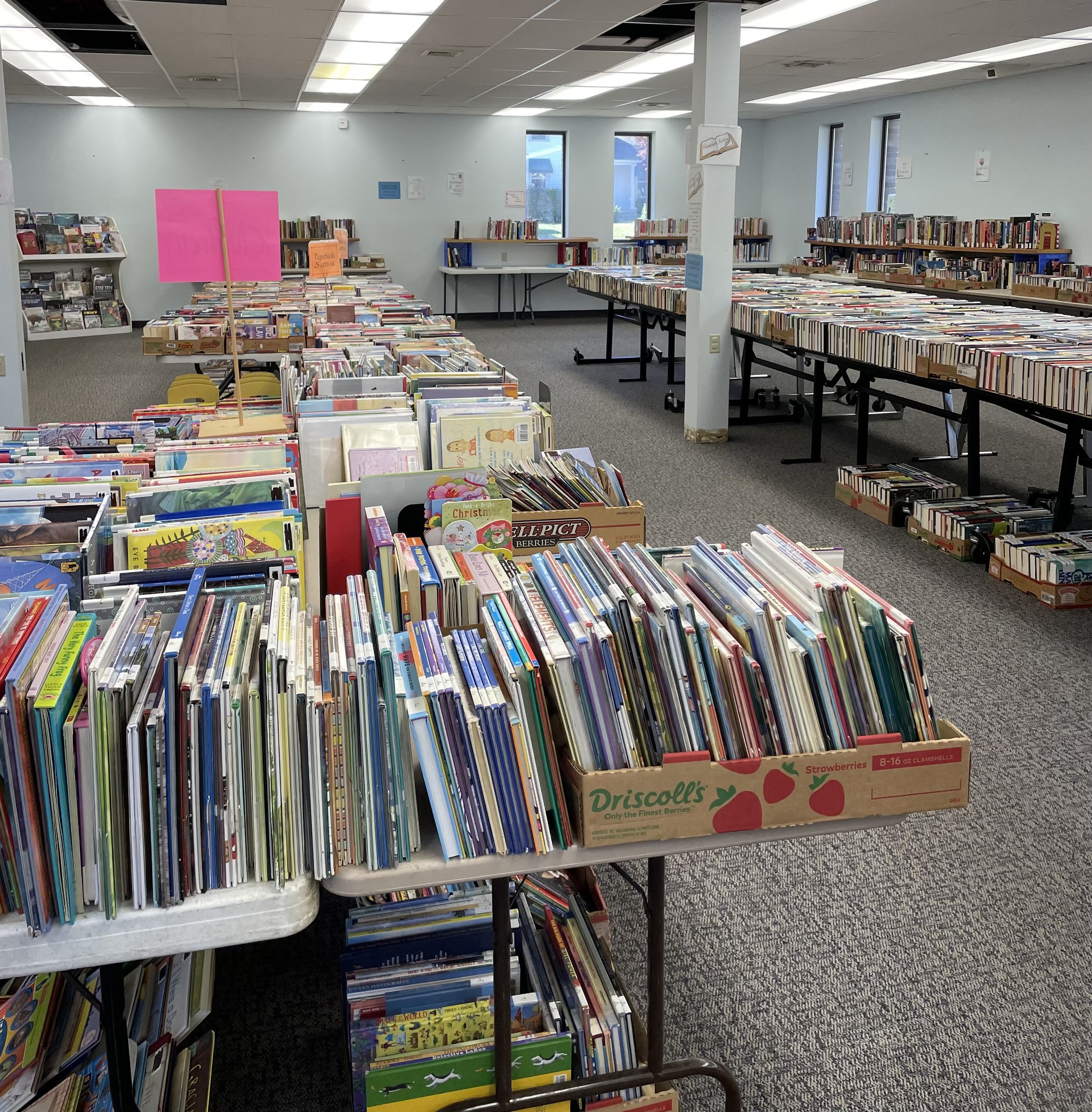 Friends of the Flushing Area Library | Flushing MI