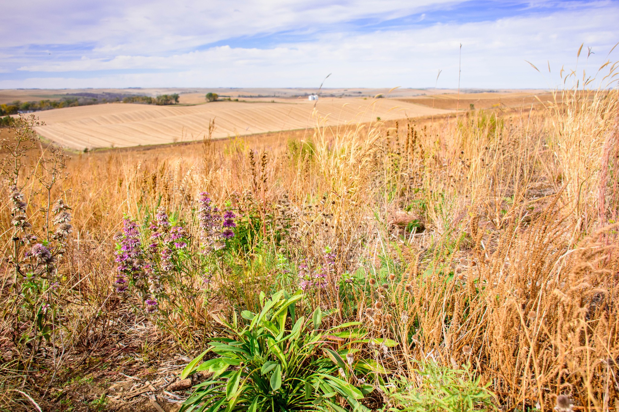 Pheasants Forever added a new photo. - Pheasants Forever