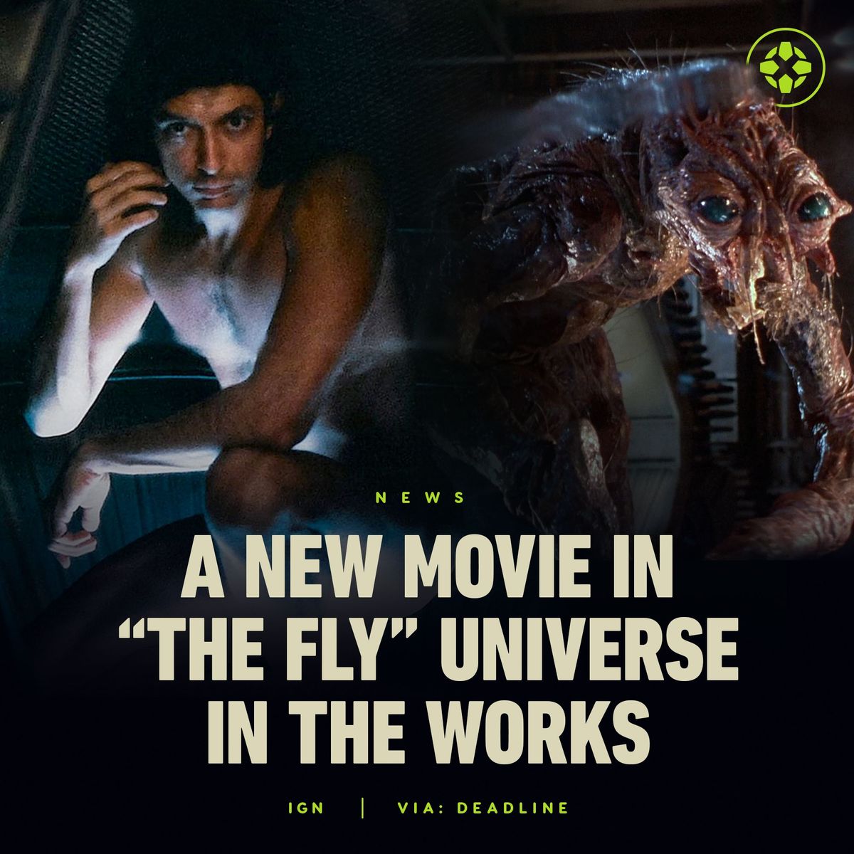 IGN - The new movie is 