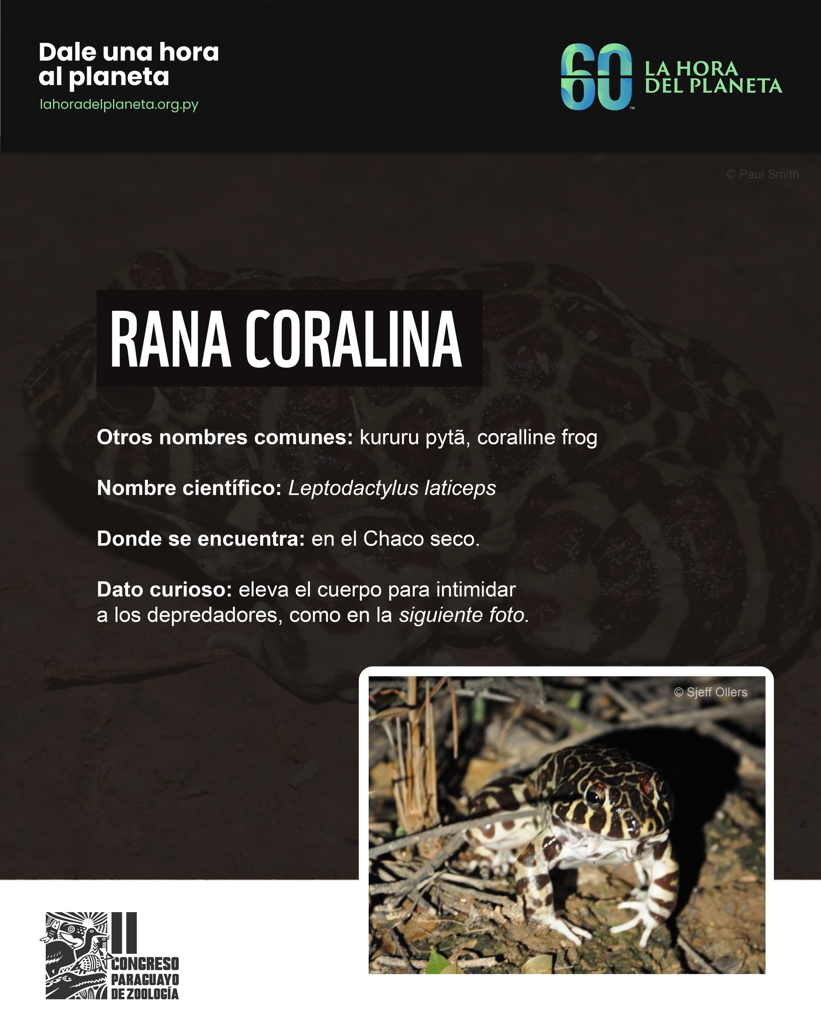 WWF Paraguay - #LaRutadelaYerbaMate Día 2 🗺️🐆 Sabías que... | Facebook