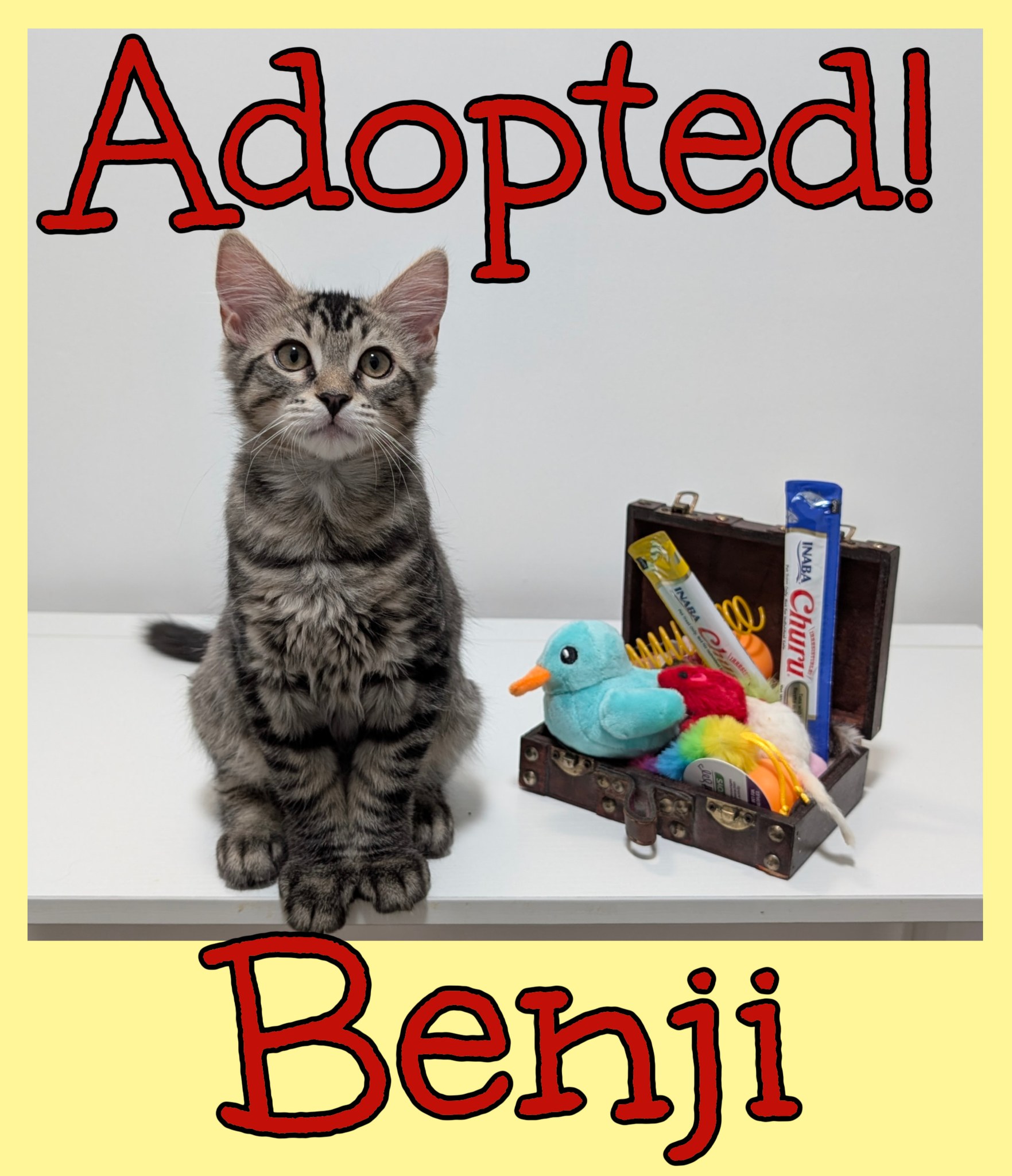Love - Hooray, hooray, Benji was adopted today! He joins a family that ...
