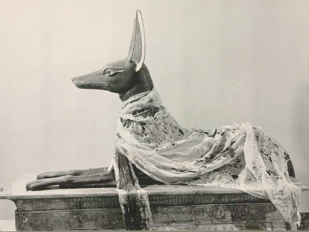 Anubis 😮😮first picture in 1923 ♥️ Tutankhamun ♥️