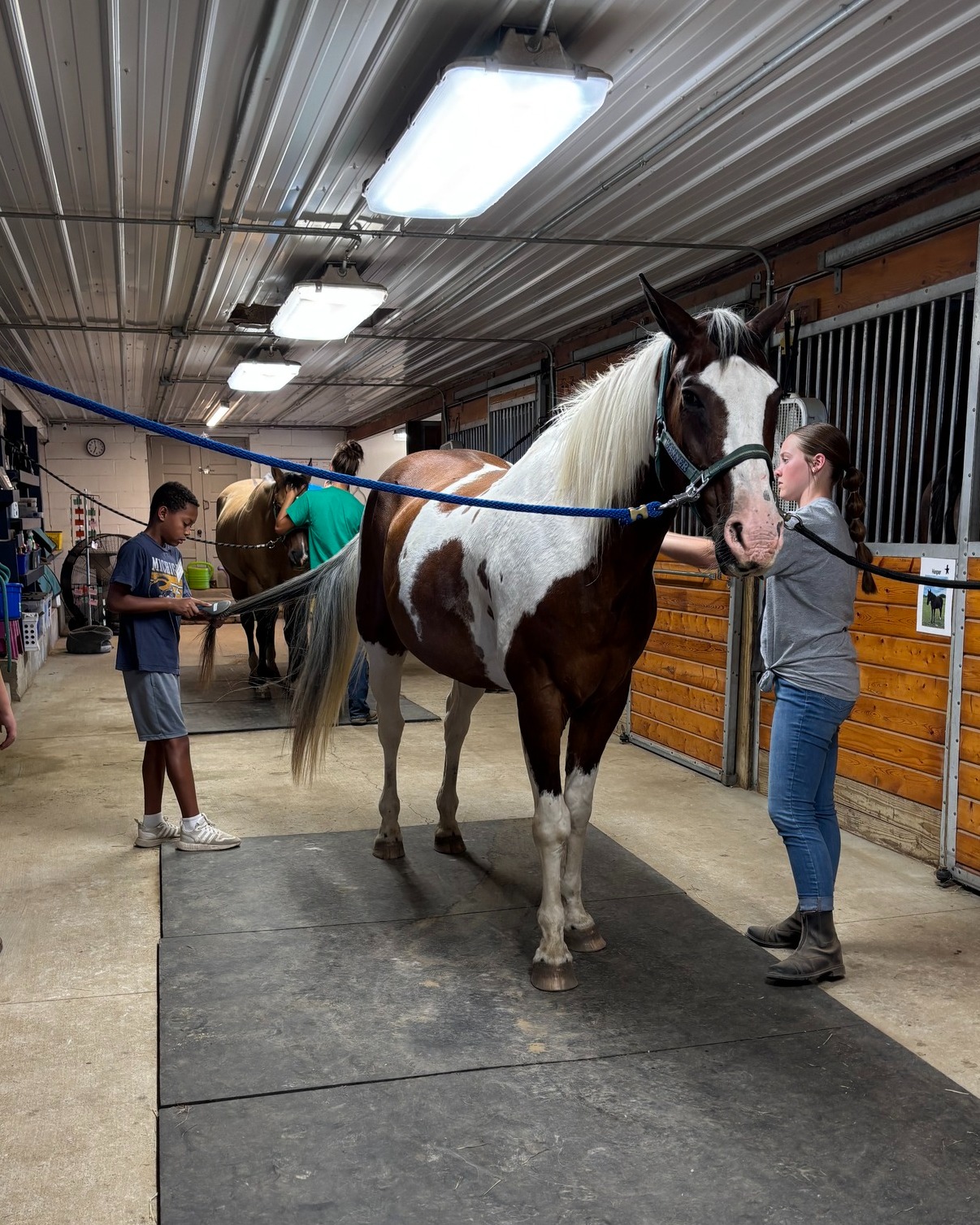 H.U.G.S. Ranch | Byron Center MI
