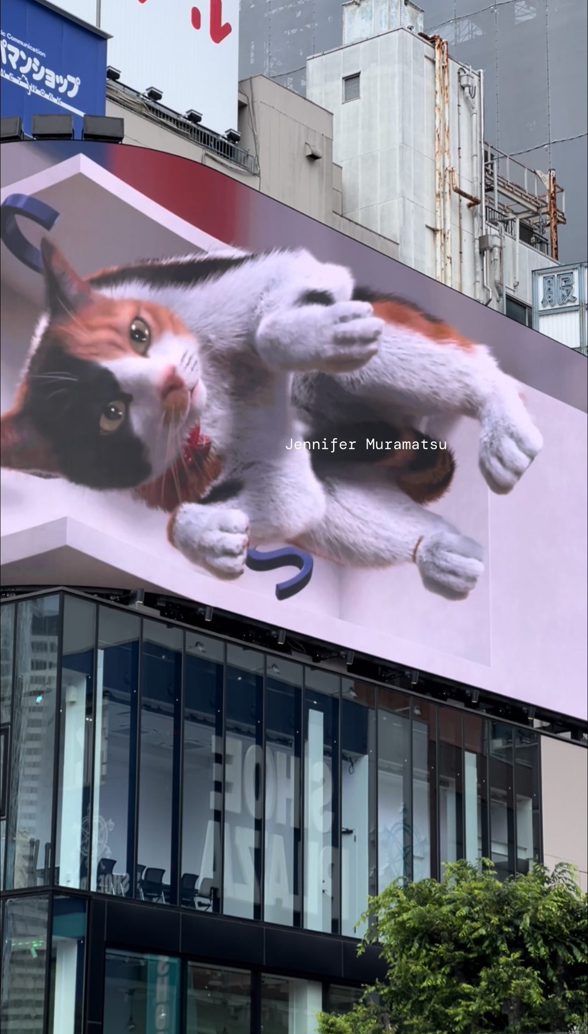 Only in JAPAN 🇯🇵 – a huge 3D cat comes to life in Shinjuku