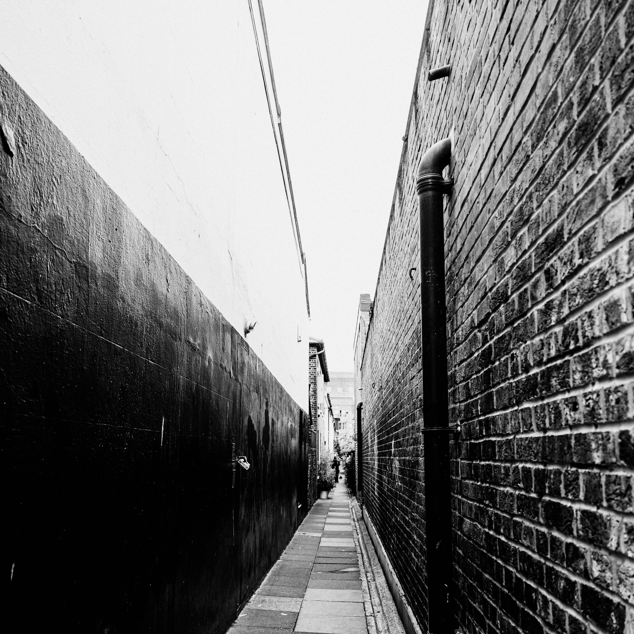 Mark Perryman Photography