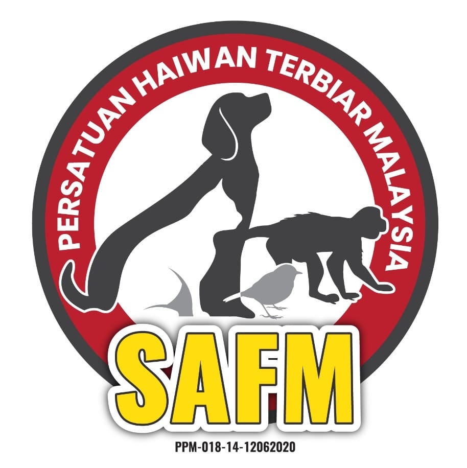 Persatuan Haiwan Terbiar Malaysia Safm Home Facebook