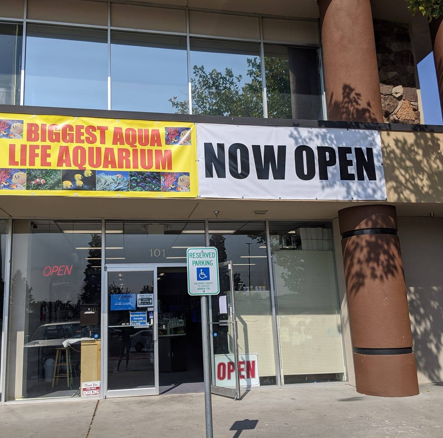 Biggest Aqua Life Aquarium, Reno | Reno NV