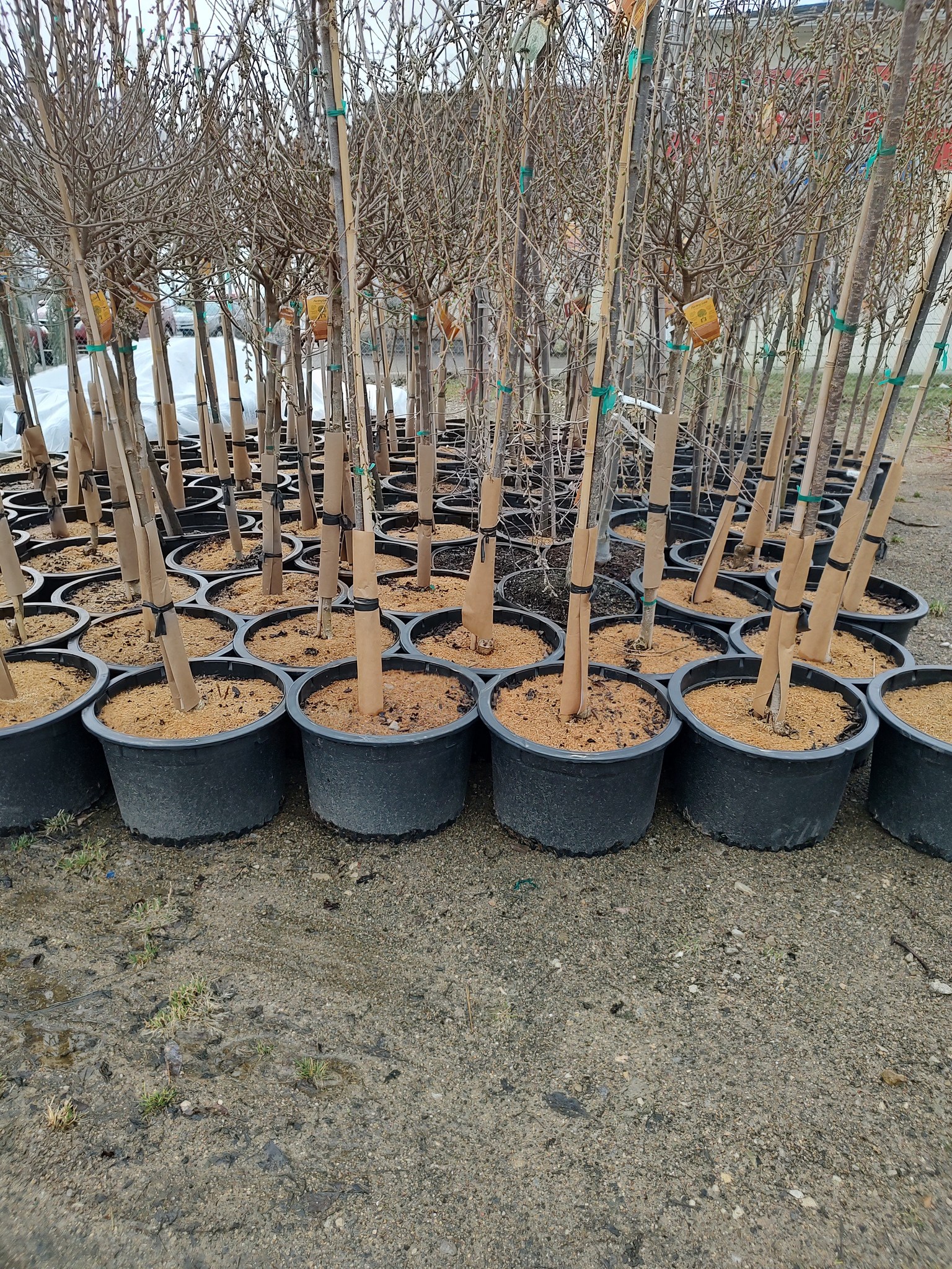 Kurtz Bros Mulch & Soils