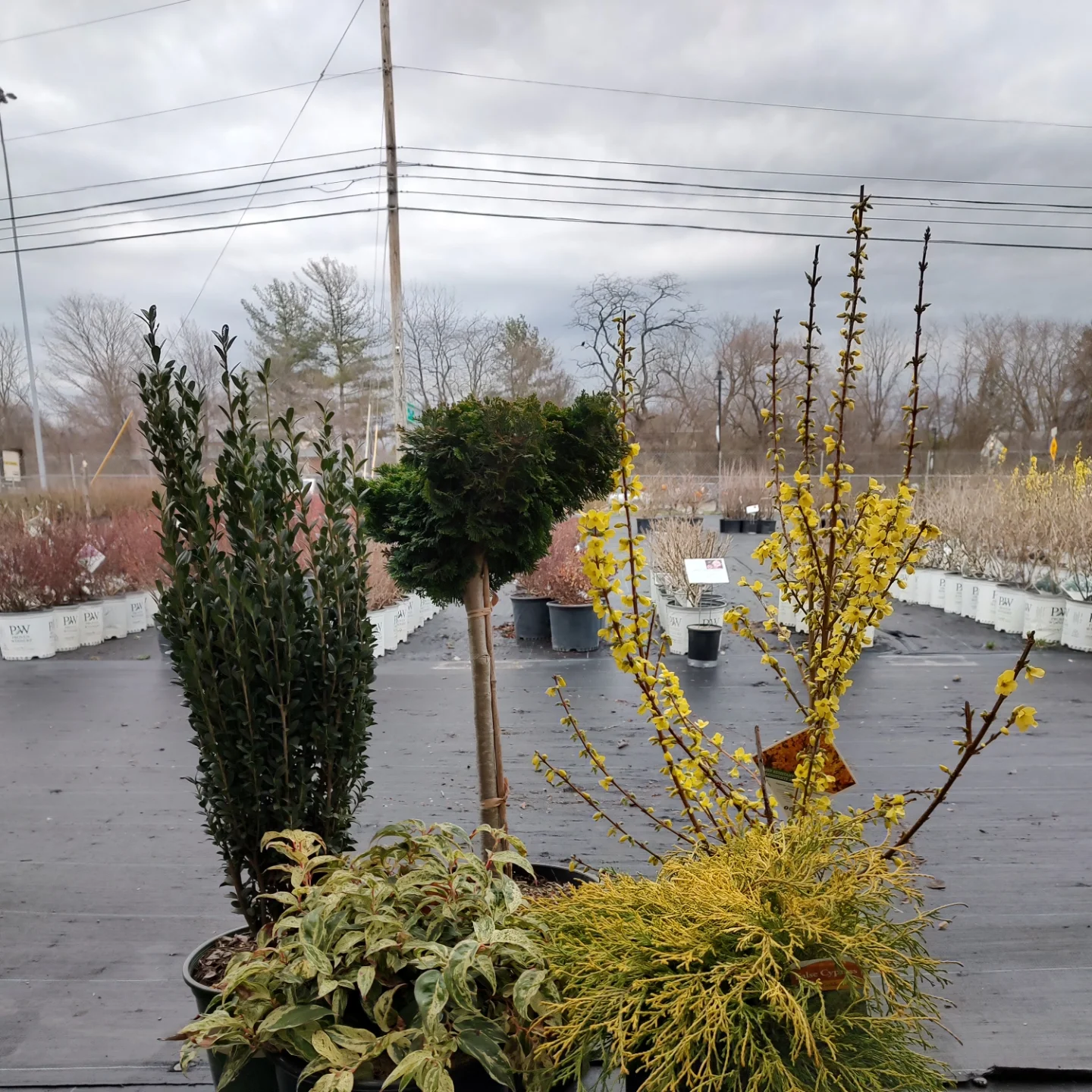 Kurtz Bros Mulch & Soils