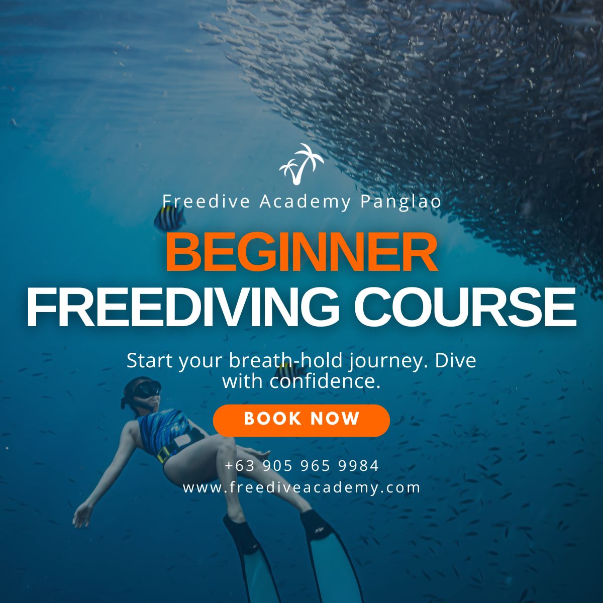 Ever wondered what it’s like to... - Freedive Academy Panglao | Facebook