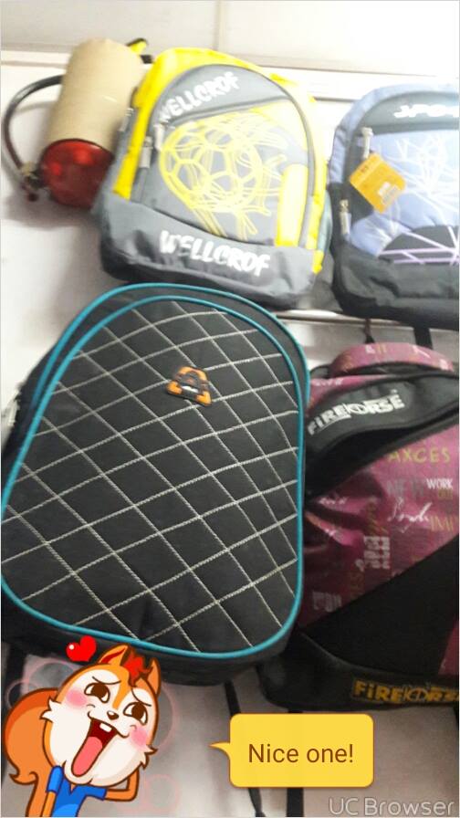 Ravi bag