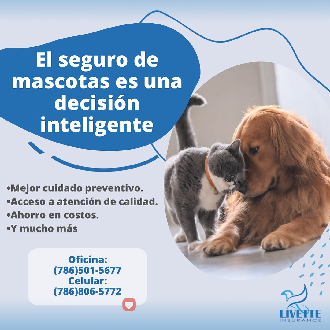 Livette Insurance