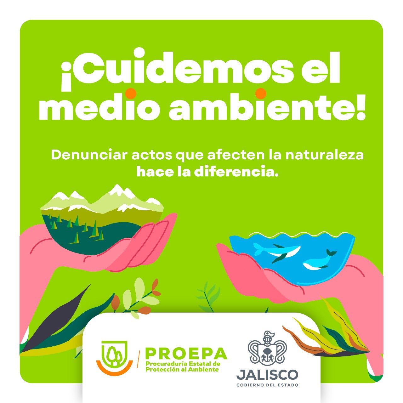 Proepa - 🌎💚 En Jalisco cuidamos nuestro medio ambiente,... | Facebook