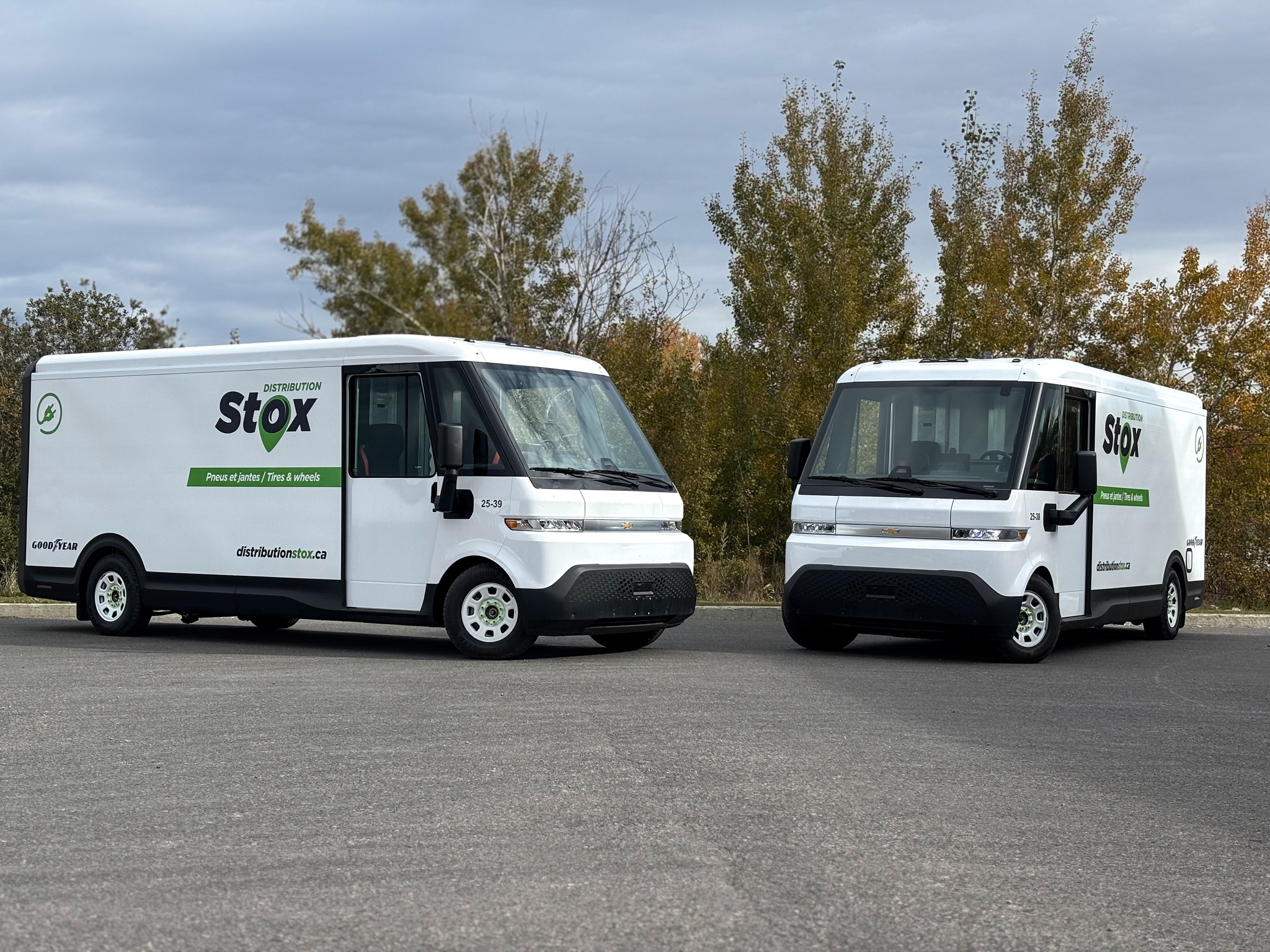 Distribution Stox