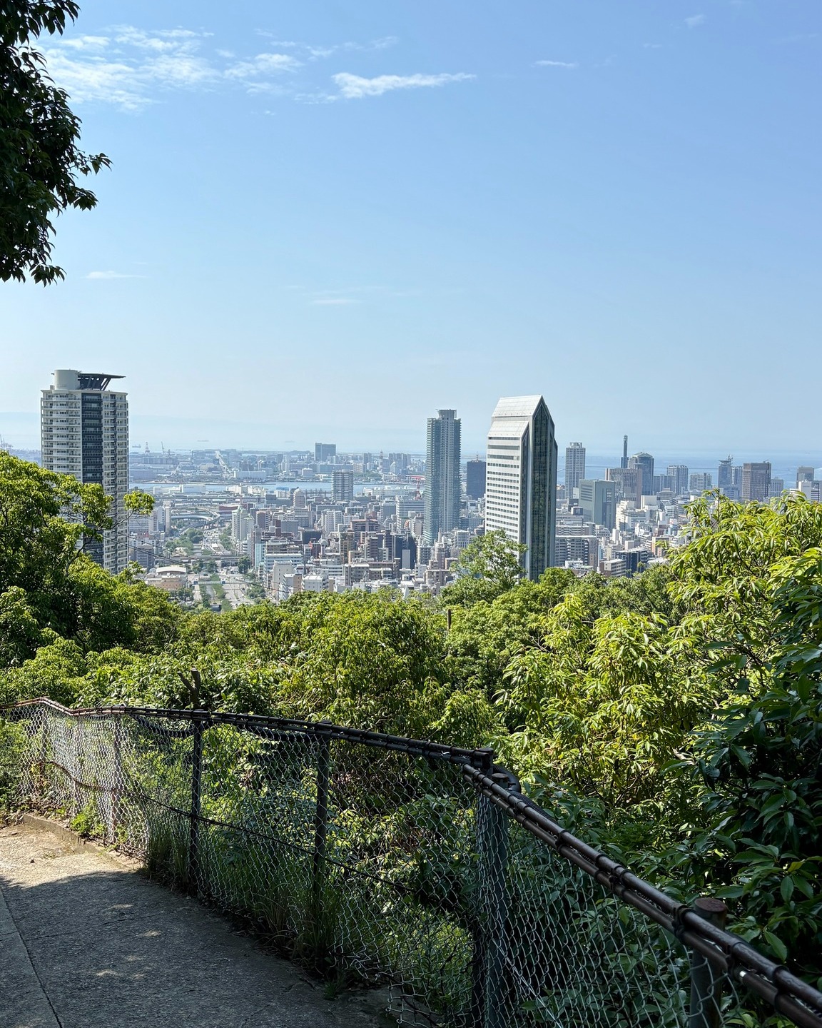 📸 View from the Hills of Shin-Kobe ✨ 新神戸 山側からの街の眺め A