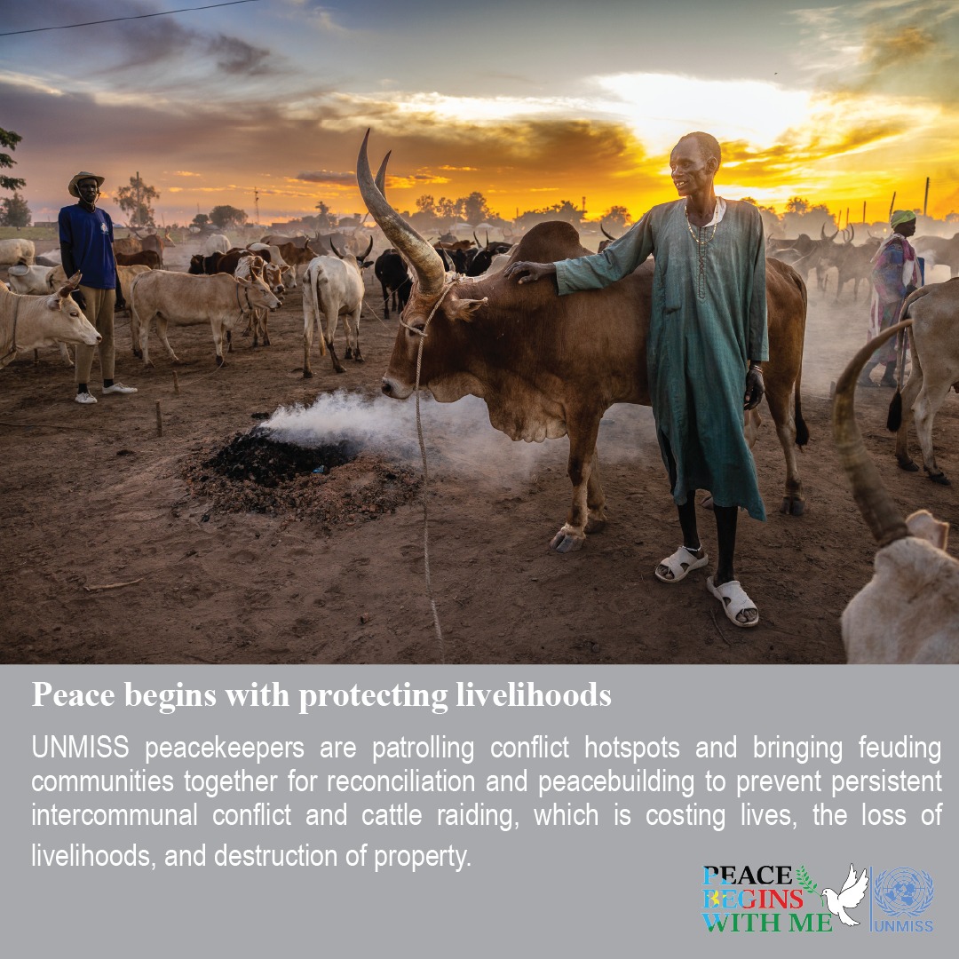 United Nations Mission in South Sudan (UNMISS)