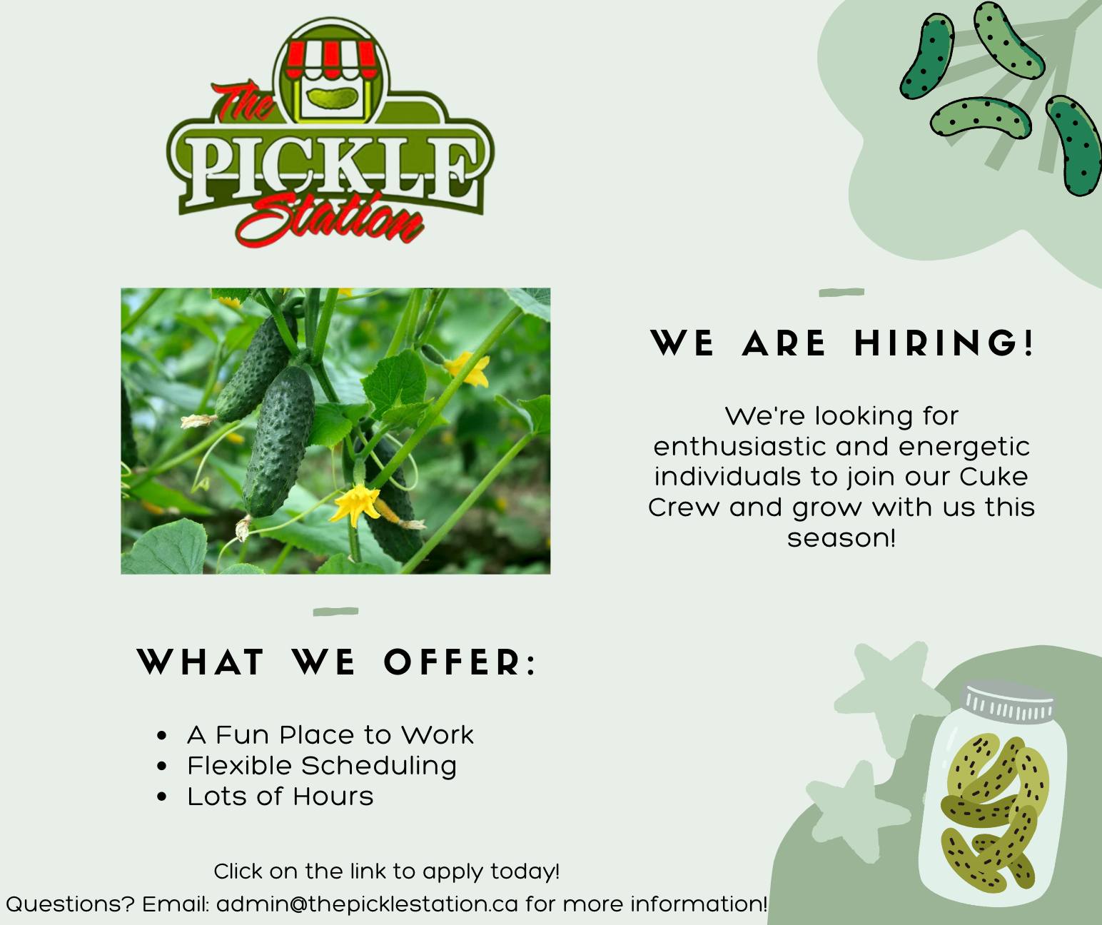The Pickle Station | Chatham ON