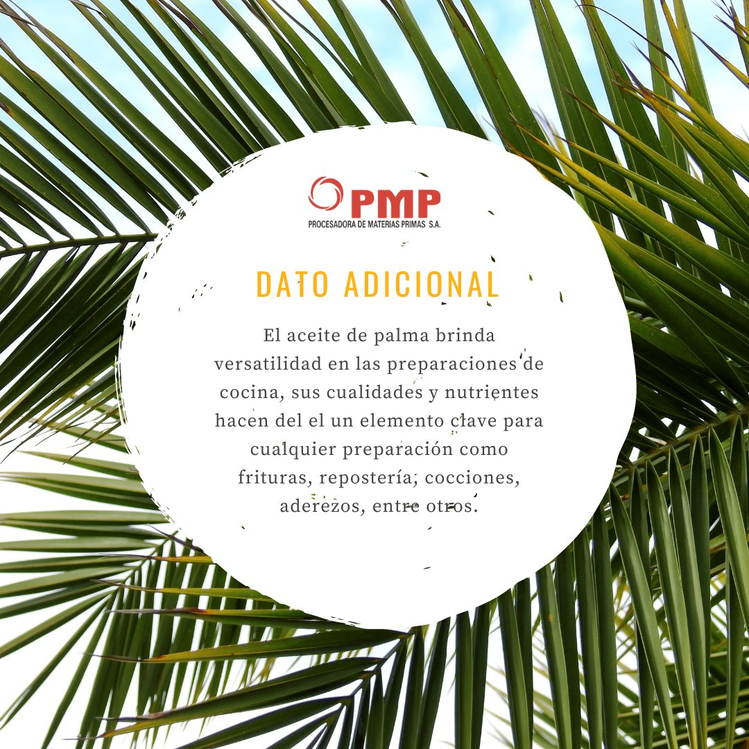 pmp.sa - El aceite de palma es el de mayor consumo en todo...