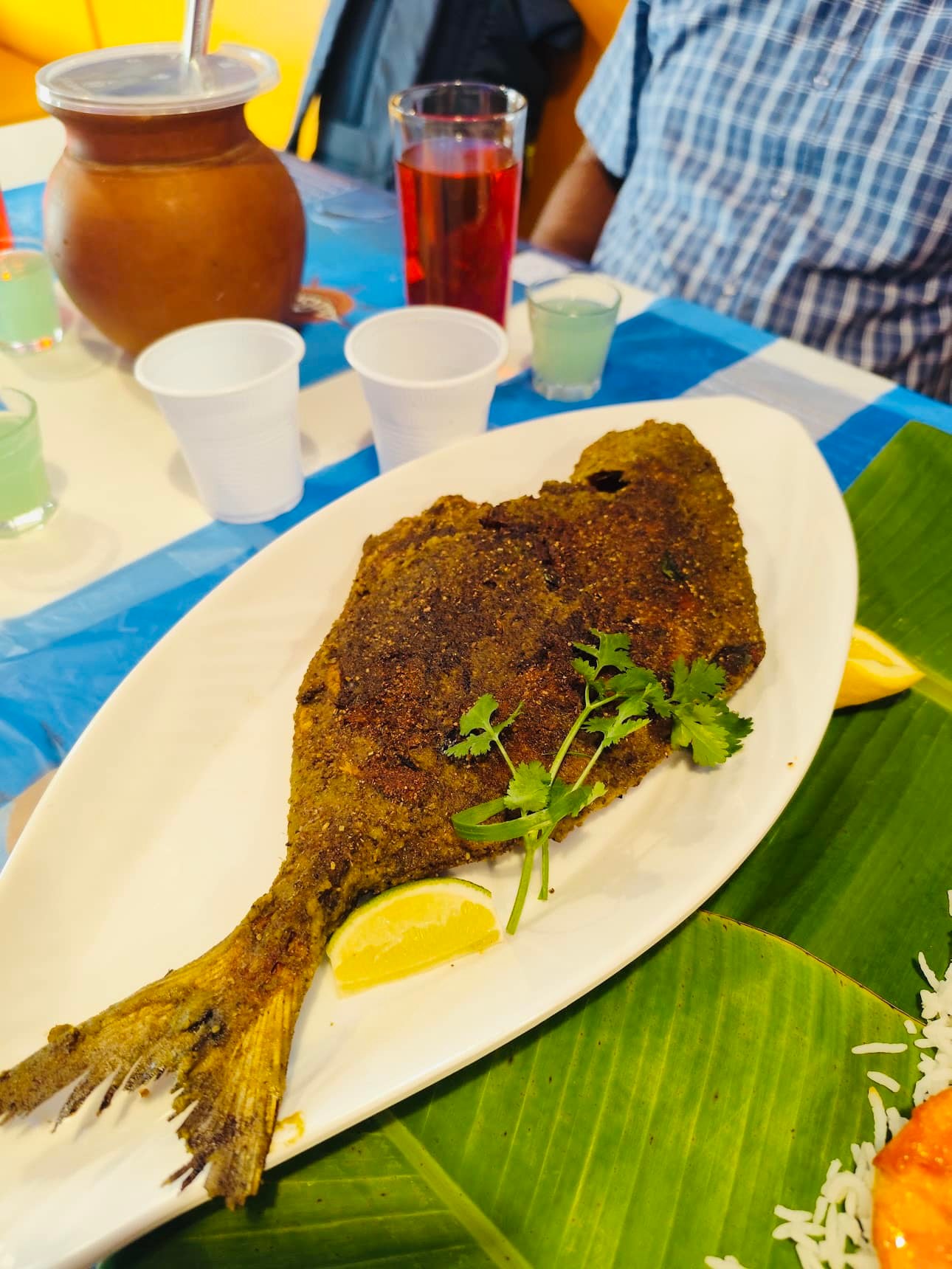 De Fish | Dubai