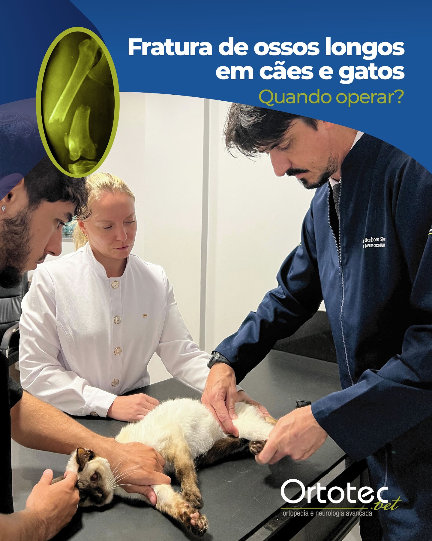 a-terapia-com-c-lulas-tronco-uma-das-maiores-inova-es-no-tratamento