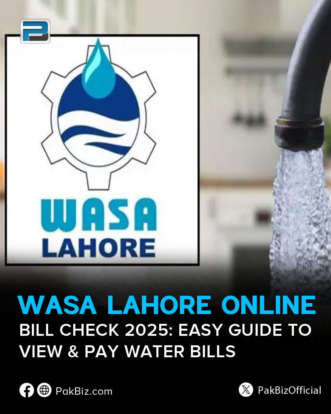 PakBiz.com - WASA Bill Online Check Lahore 2025: Quick... | Facebook
