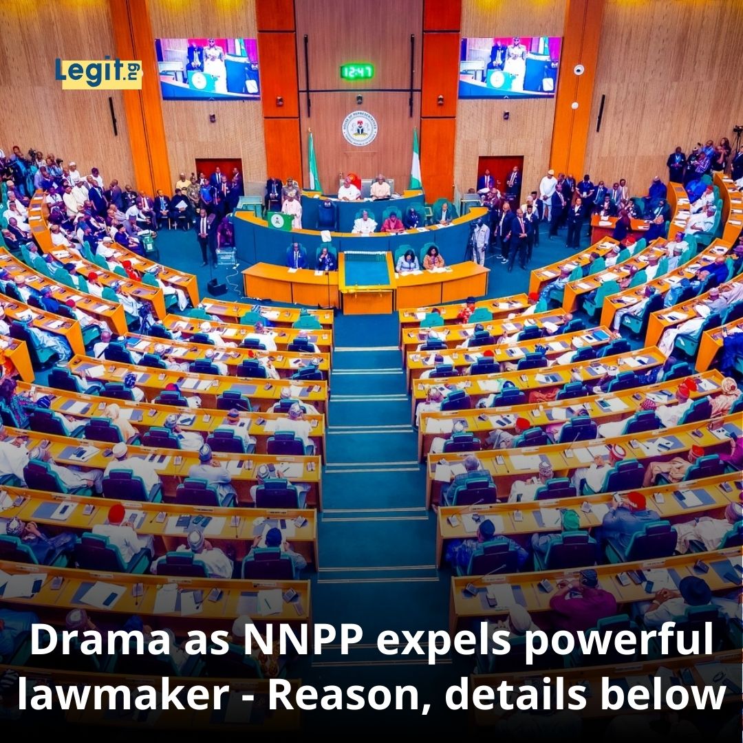 Legit.ng - The New Nigeria People’s Party (NNPP) has... | Facebook