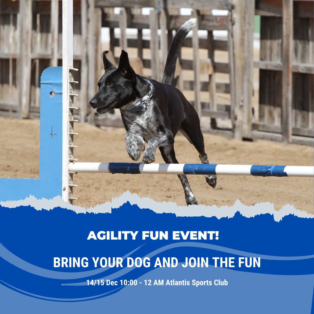Barbara - 🐾 Join Us for an Agility Fun Match! 🐾 📅 Dates: 14th & 15th ...