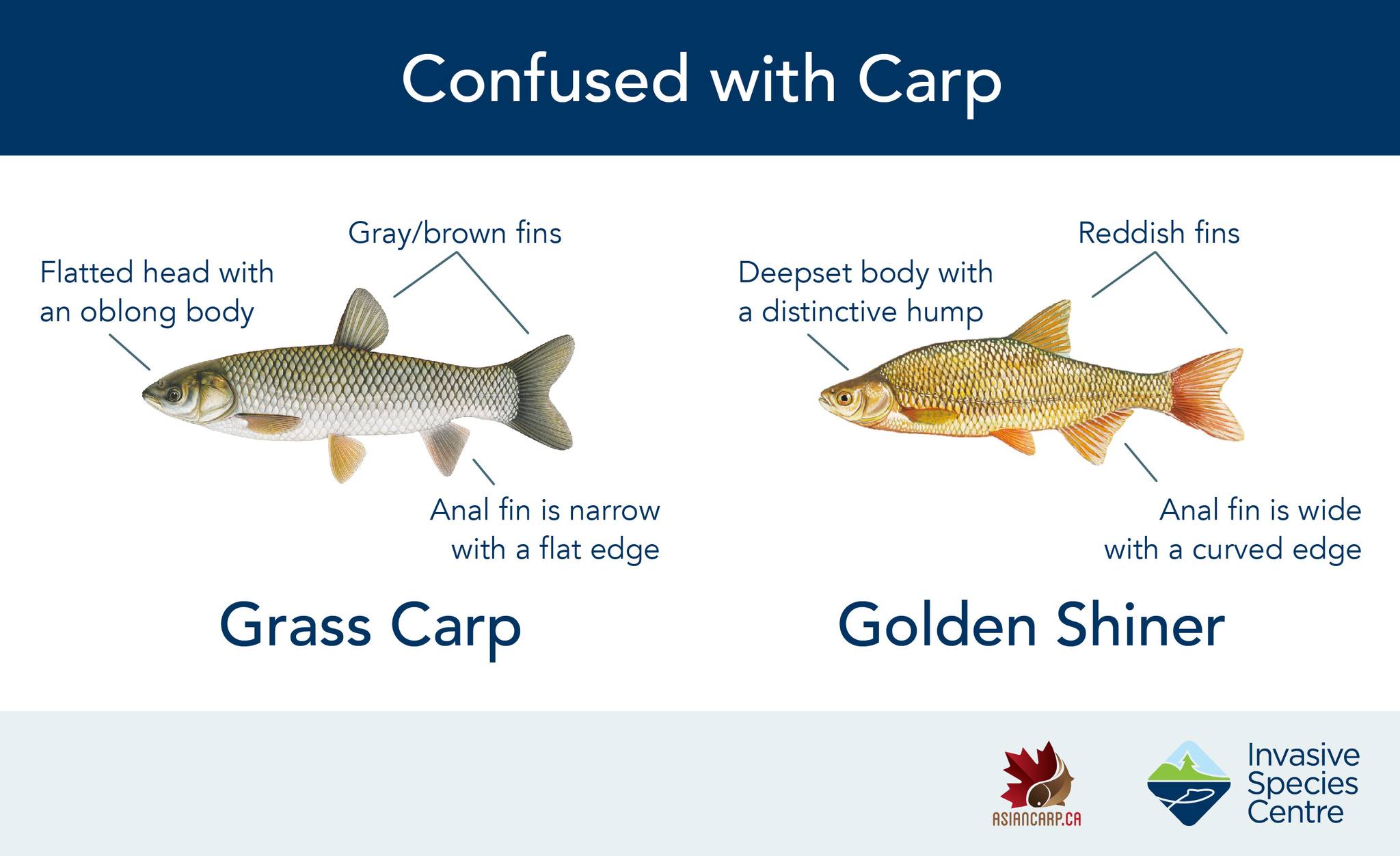 Invasive Species Centre added a... - Invasive Species Centre