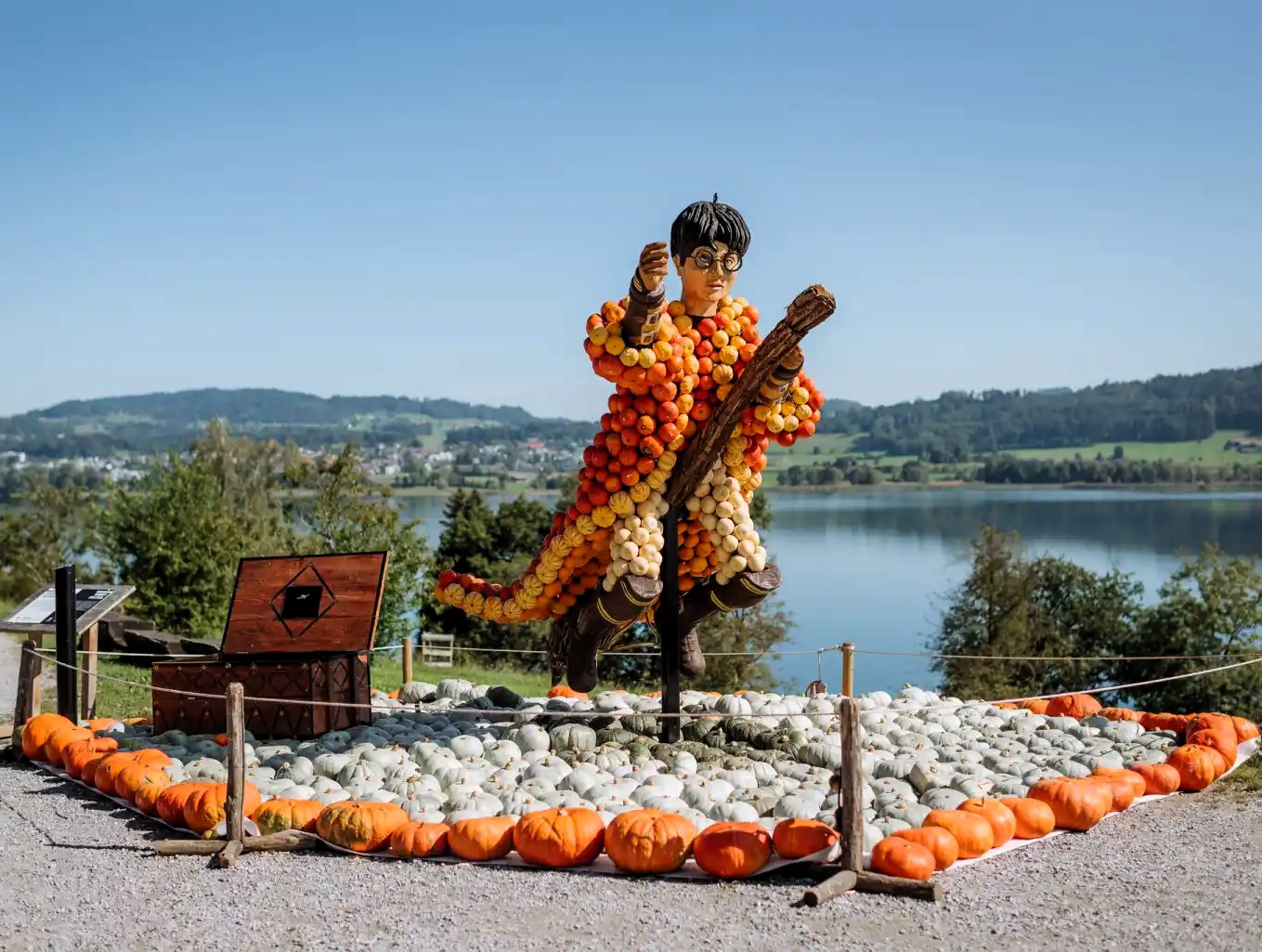German - Not all pumpkins end up in soup, it's 'Großes Kino' in the ...