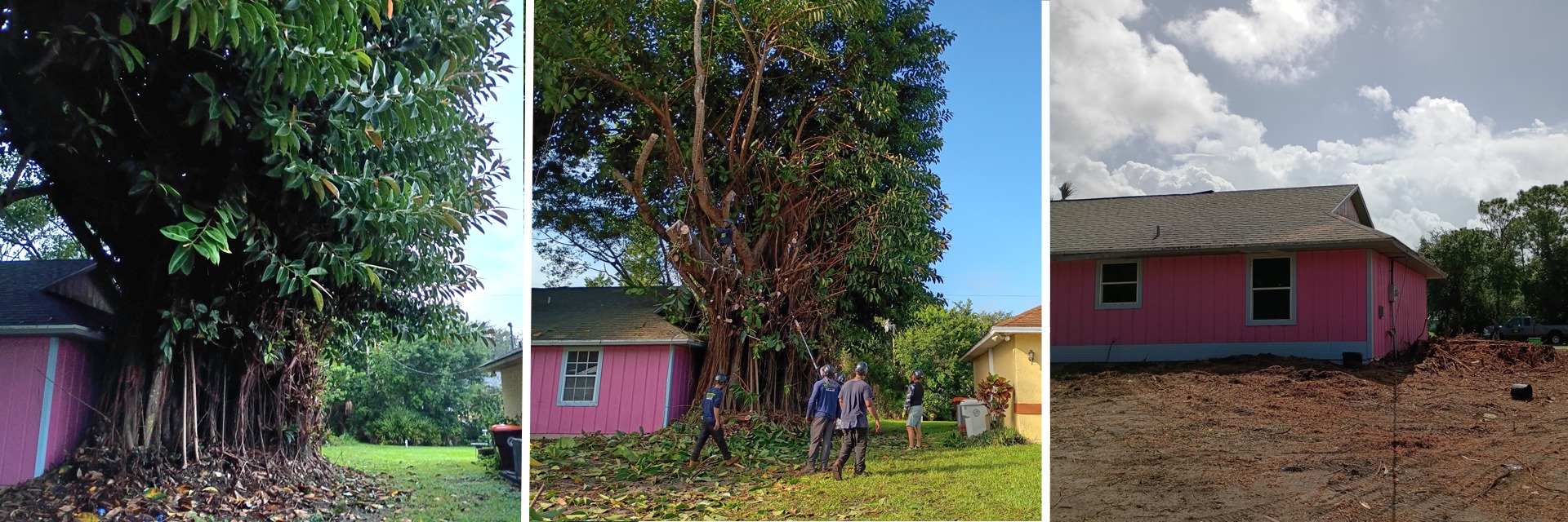 Treasure Coast Tree & Land Services | Vero Beach FL
