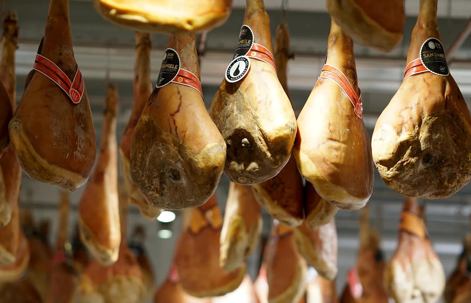 The Welsh Rabbit Cheese Shop | Fort Collins CO