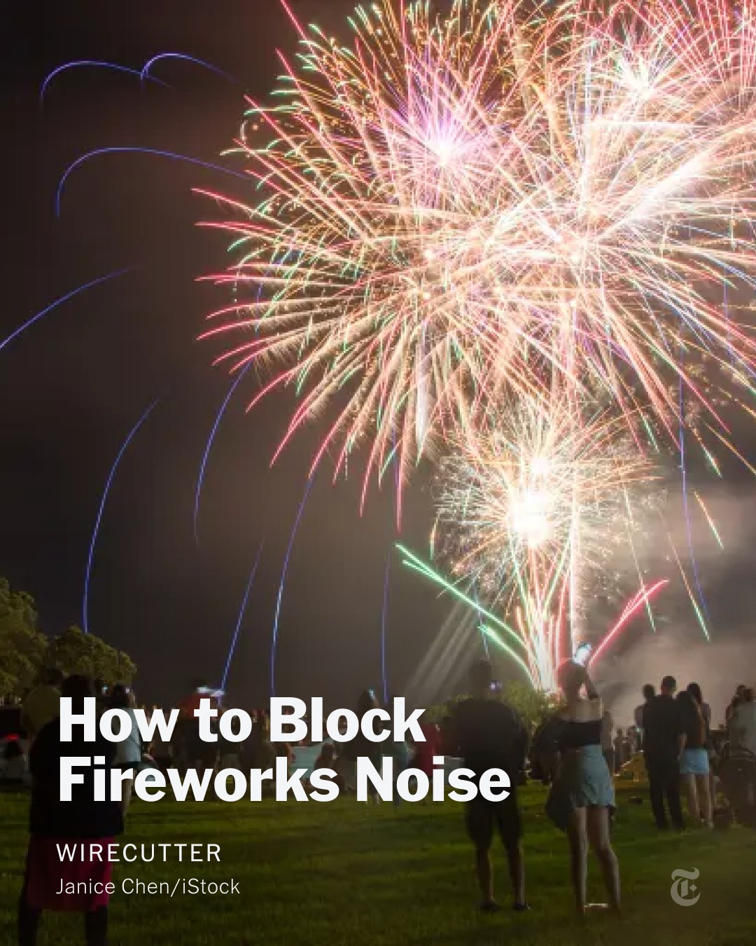 The New - Noise from fireworks can reach levels louder than the sound ...