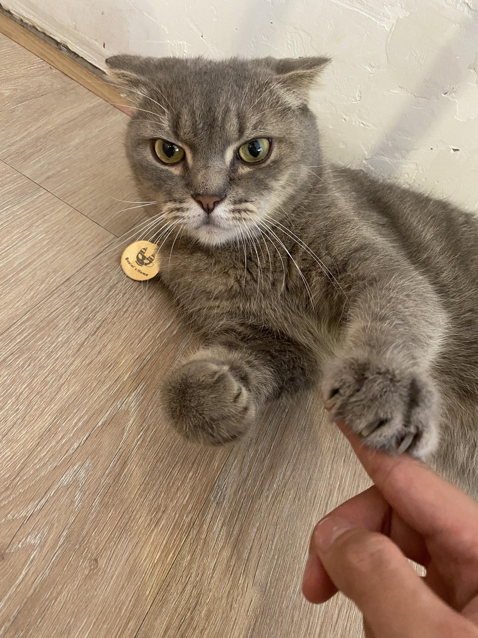 Bastet's - Bỏ tay ra bạn eiii 😾 Chúng mài có hai lựa chọn, một là bỏ ...